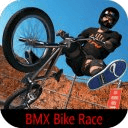 Pro BMX Video