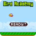 Bird Academy