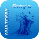 Gray's Anatomy 2014 Full Free