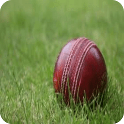 Android Live Cricket