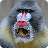 Mandrill Slots - Free