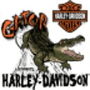 Gator Harley