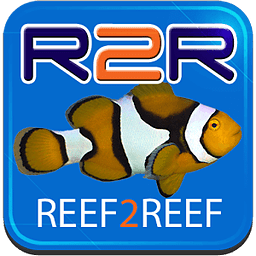 REEF2REEF