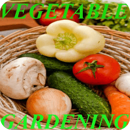 Vegetable Gardening