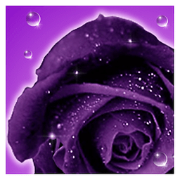 Roses live wallpaper