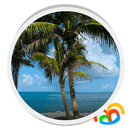 Beach Trees Live Wallpaper