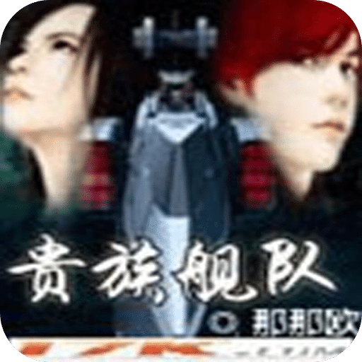 贵族舰队