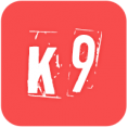K9战队