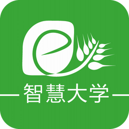 智慧大学