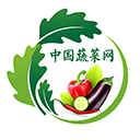 蔬菜网