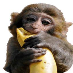 Banana Chimp