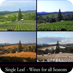 Single Leaf Vineyards &amp; Winery