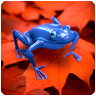 Blue or Ping frog Free