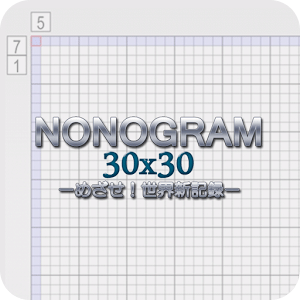 Nonogram 30x30