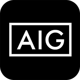 Go Team AIG