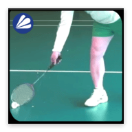 Badminton Tips for Begin...