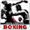 Boxing Real Fighter