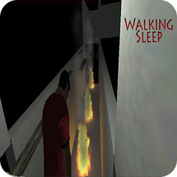 Walking Sleep