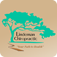 Lindeman Chiropractic