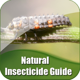 Natural Insecticide Guide