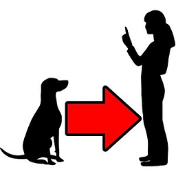 Dog Training Tips Video