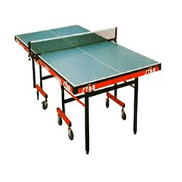 Table Tennis Rules