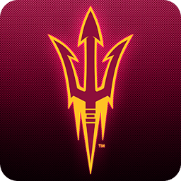 Arizona State Live Clock