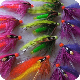 Canadian Tube Fly Co. Videos