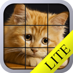 Kitty Tiles