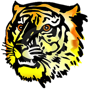 Amazing Tiger Facts