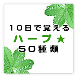 10日で覚えるハーブ★50种类！ free ～プチまな～