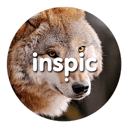 Inspic Wolfs Wallpapers HD