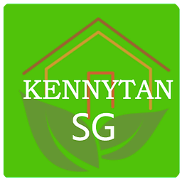 Kenny Tan Properties