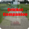 Cricket Companion