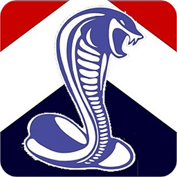 Sandown FC
