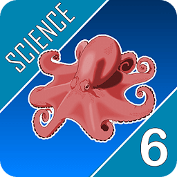 Science Quest 6