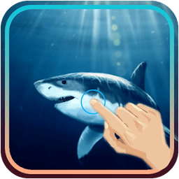 Magic Touch : Shark in W...