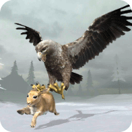 Snow Eagle Simulator