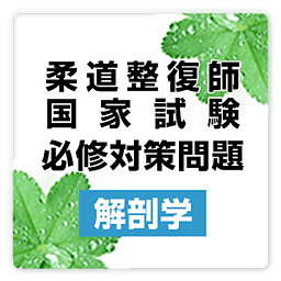 柔道整复师国家试験必修対策问题:解剖学 free～プチまな～