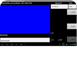 Terminal TermUDP