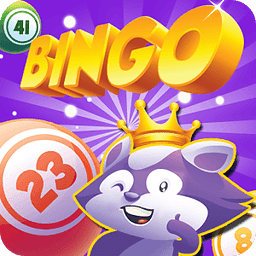 Bingo Raccoon