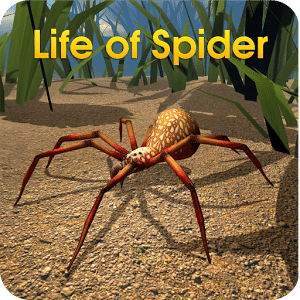 Life of Spider