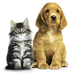 Pets Ringtones