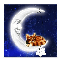 Cat on Moon