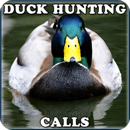 Duck Hunting Calls