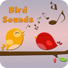 Bird Sounds