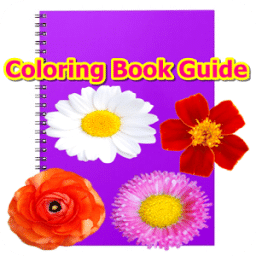 Coloring Book Guide