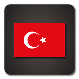 Lightning Launcher - Turkish