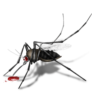 Amazing Mosquito Facts