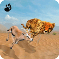 Cheetah Chase Simulator